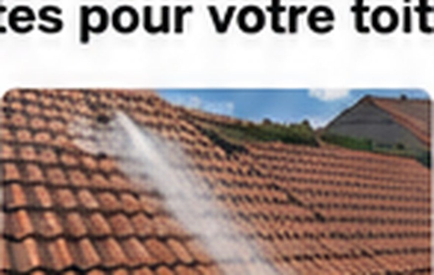 Toiture en tuiles avant intervention